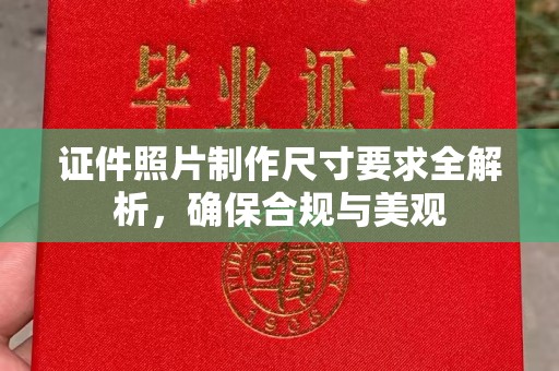 浙江证件照片制作尺寸要求全解析，确保合规与美观