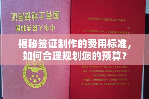 浙江揭秘签证制作的费用标准，如何合理规划您的预算？